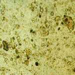 Altgold / Verschnitt