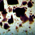 Asphalt