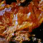 Auripigment mit Matrix