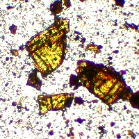 Auripigmentum