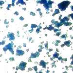 Bremer Blau
