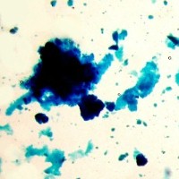 Preußischblau