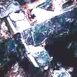 Vivianit, in Muttergestein